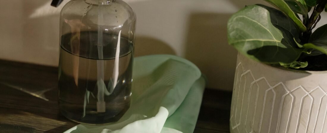 Top 5 things you Need to Control Mould in your Home